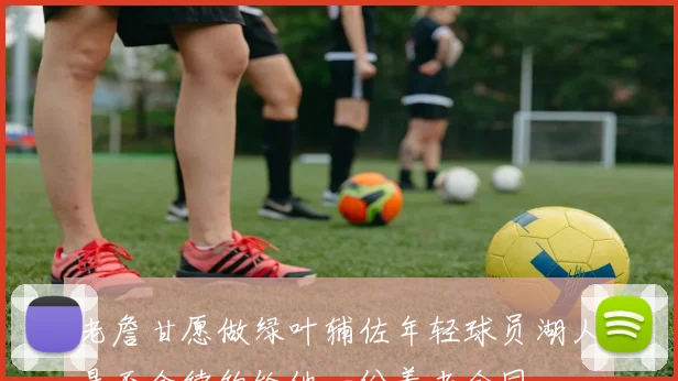 老詹甘愿做绿叶辅佐年轻球员湖人是否会续约给他一份养老合同