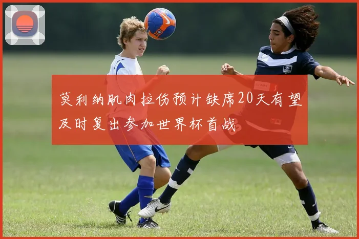 莫利纳肌肉拉伤预计缺席20天有望及时复出参加世界杯首战